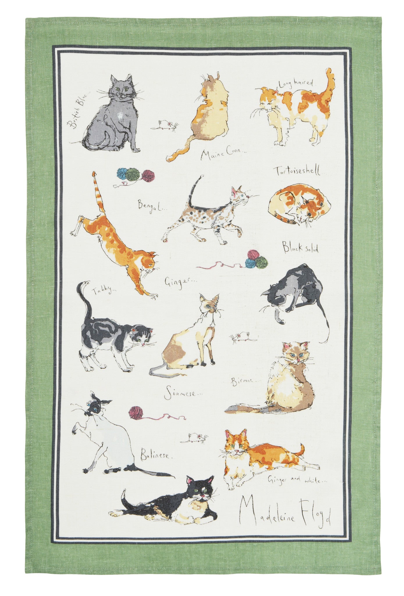 Cats