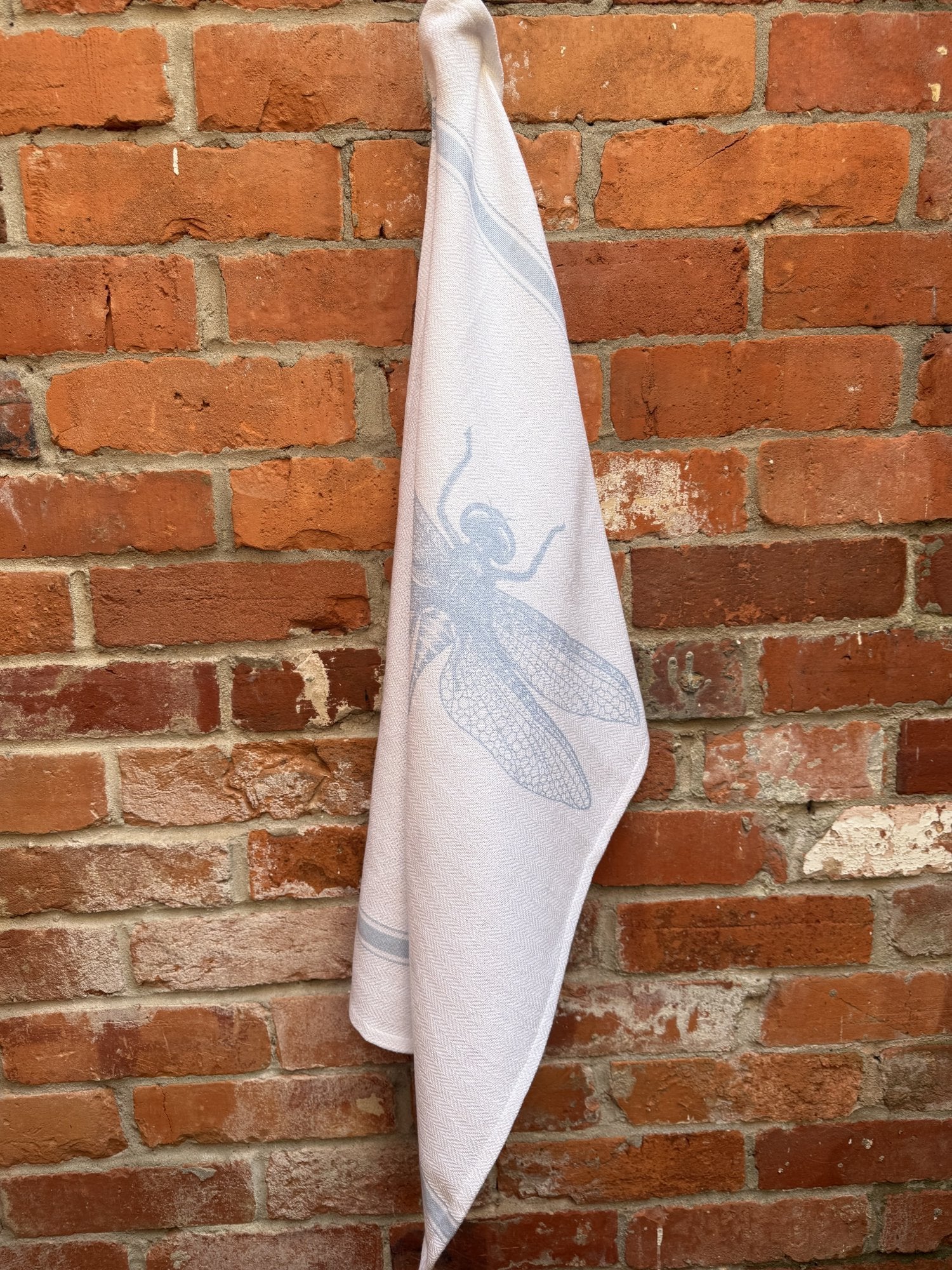 Indian Woven, “Dragonfly-Sky Blue”, Cotton waffle tea towel - Home Landing