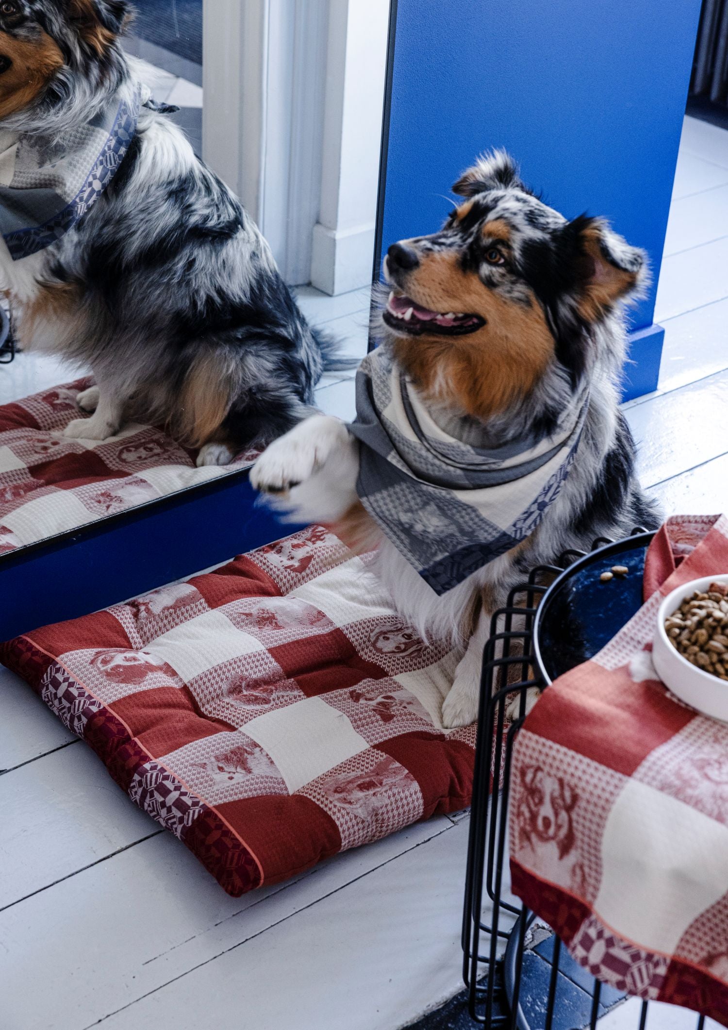 Jacquard Français "Truffes" (Grey), Woven cotton tea towel. Made in France.