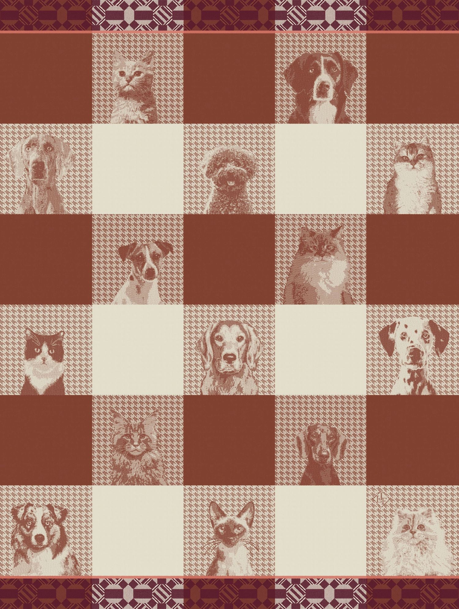 Jacquard Français "Truffes" (Brown), Woven cotton tea towel. Made in France.