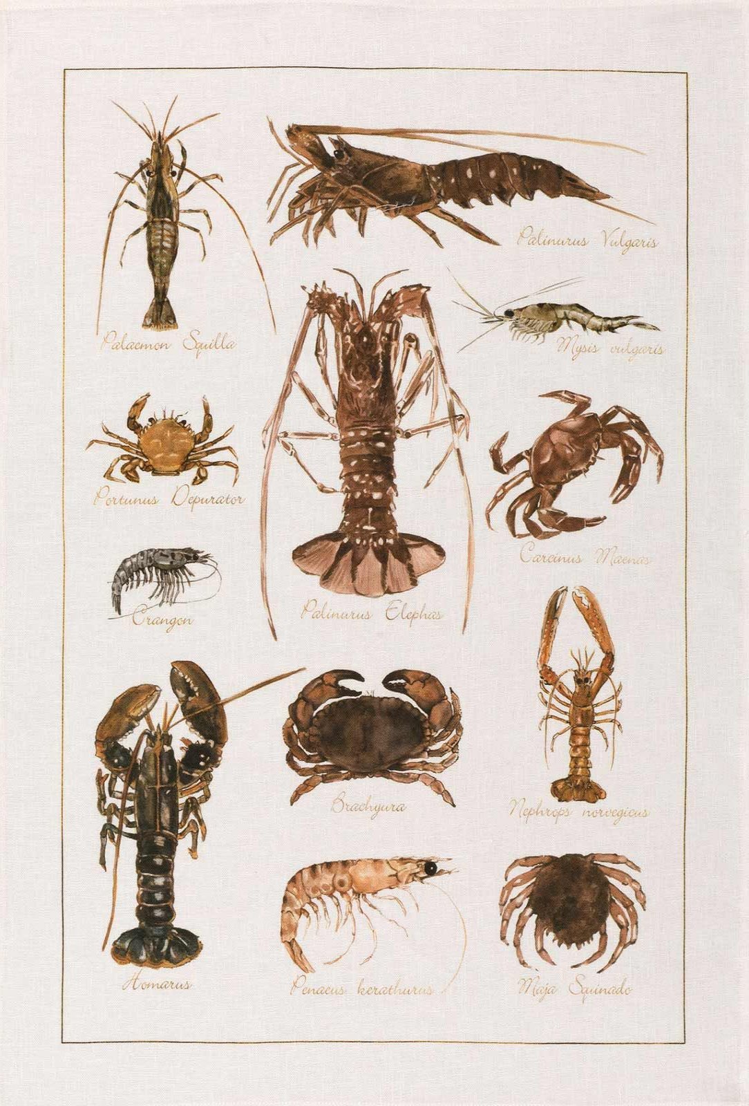 Tessitura Toscana Telerie, “La Mer - Crostacei”, Pure linen printed tea towel.