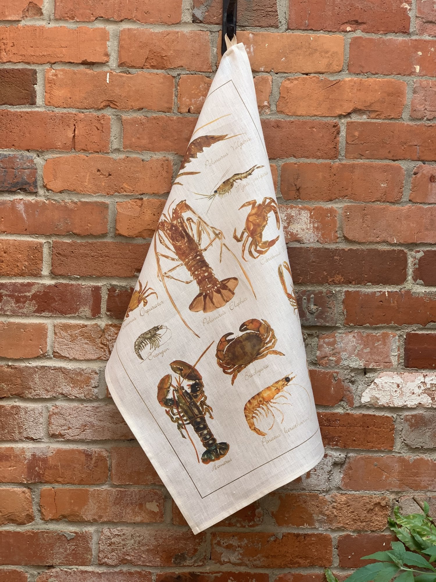 Tessitura Toscana Telerie, “La Mer - Crostacei”, Pure linen printed tea towel. - Home Landing