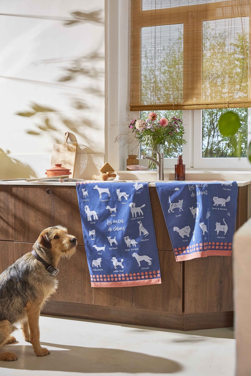 Coucke "Les Races de Chats", Woven cotton tea towel. Designed in France.