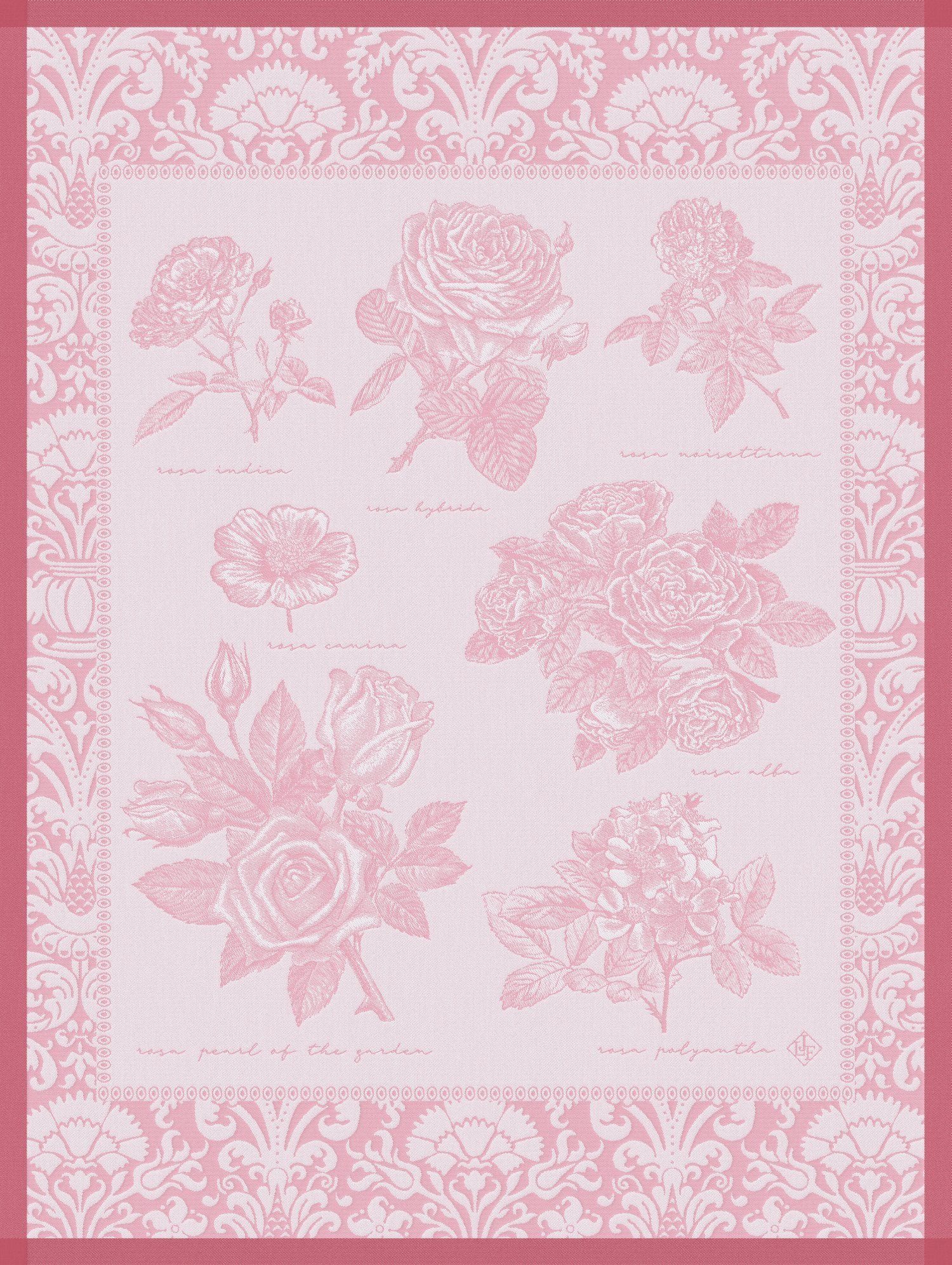 Jacquard Francais "Jardin des roses" (Pink), Woven cotton tea towel. Made in France.