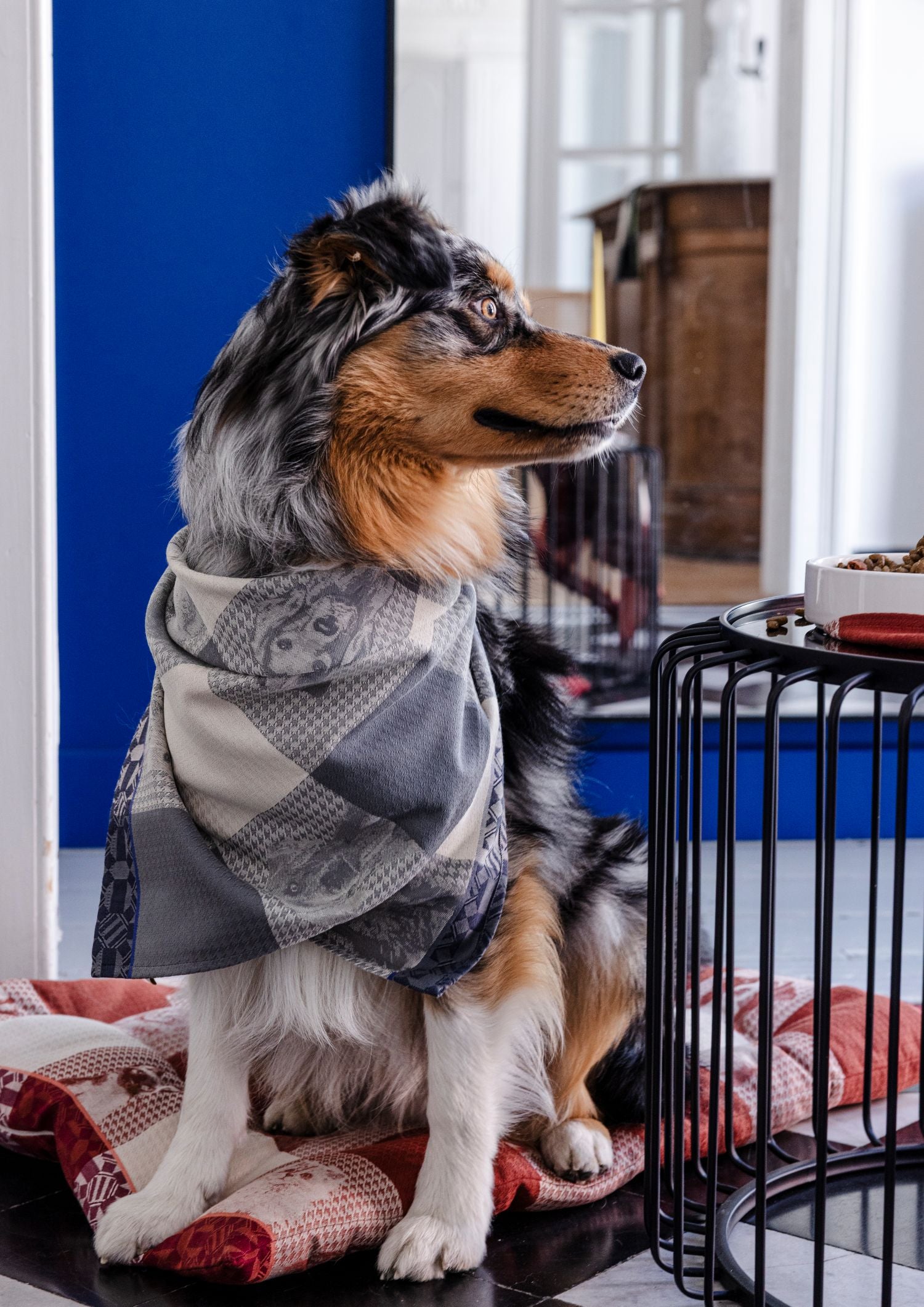 Jacquard Français "Truffes" (Grey), Woven cotton tea towel. Made in France.