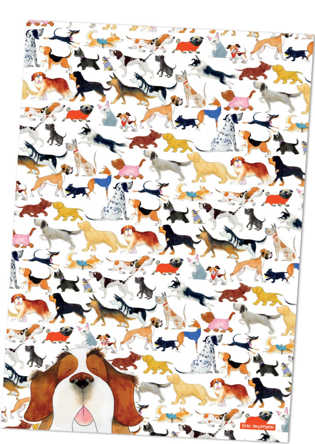 Emma Ball "Eric Hayman The Paw Club", Pure cotton tea towel. Printed in the UK. - Home Landing