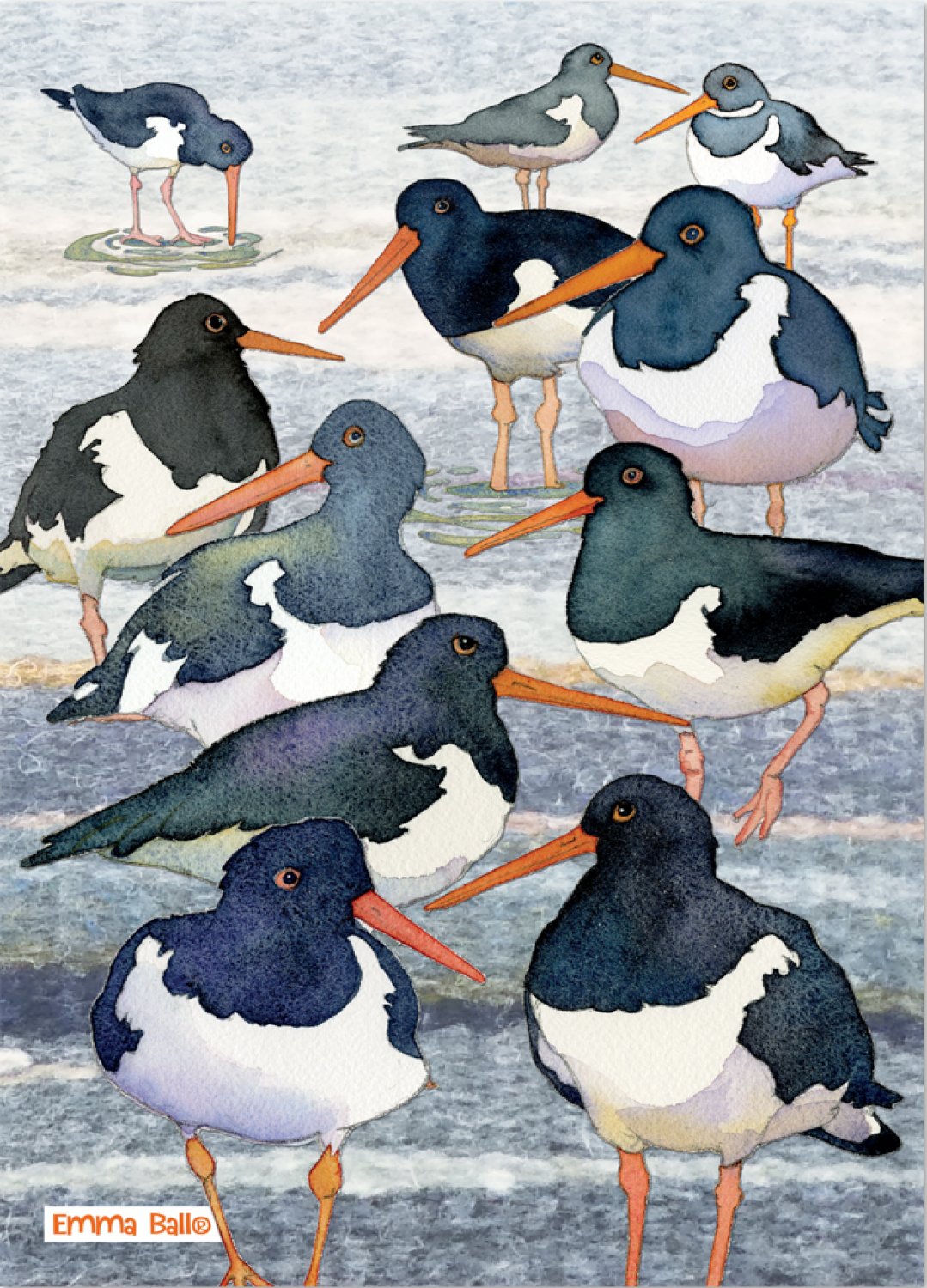 Emma Ball " Oystercatchers", Pure cotton tea towel. Printed in the UK.