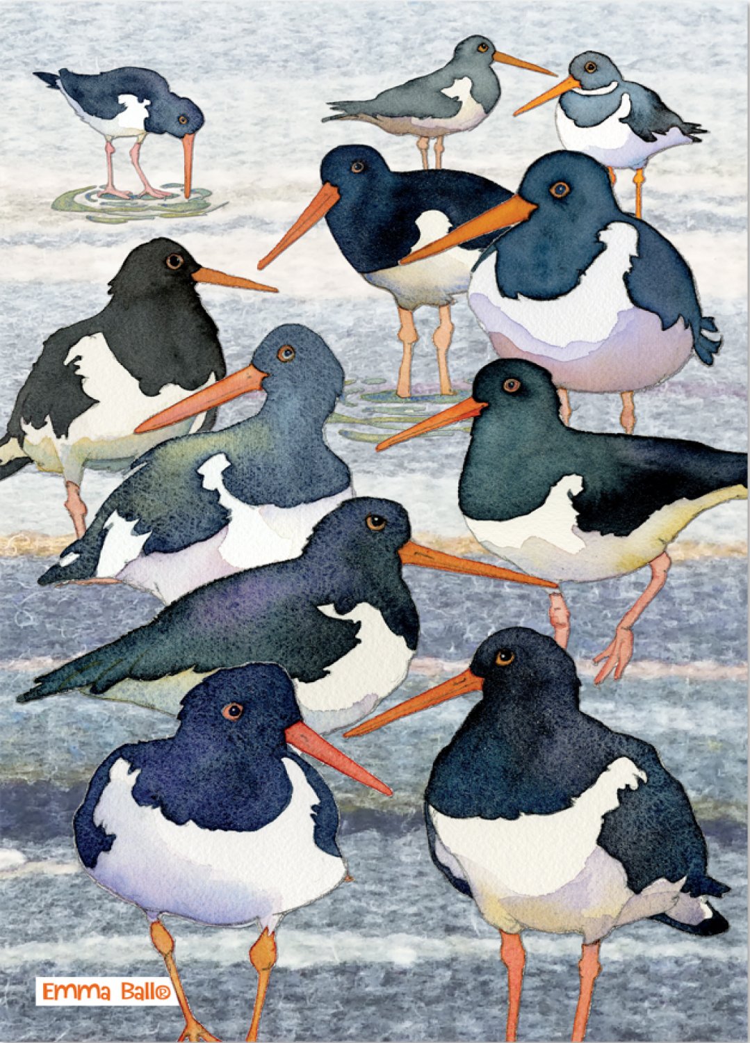 Emma Ball "Oystercatchers", Pure cotton tea towel. Printed in the UK.