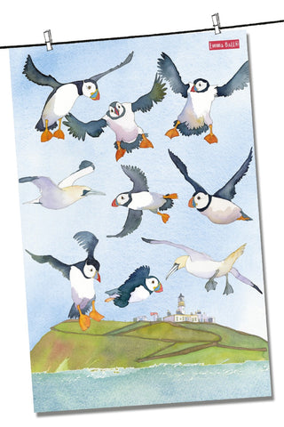 Emma Ball "Puffin 111 – Coastal Puffins", Pure cotton tea towel. Printed in the UK. - Home Landing