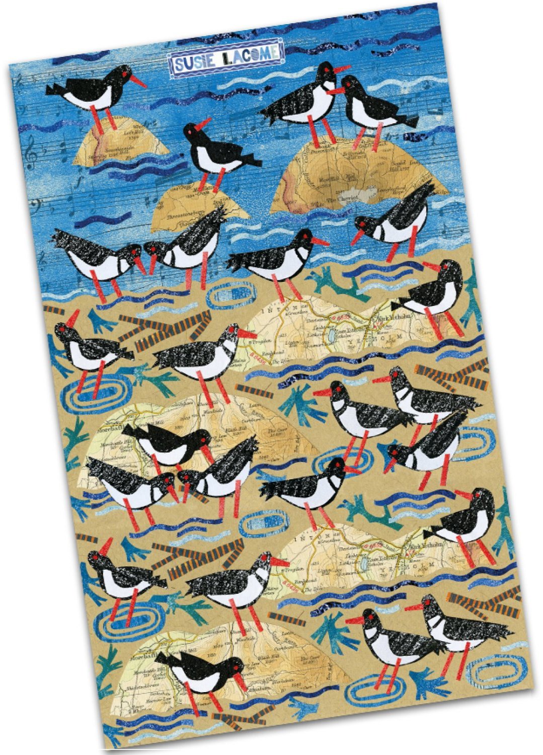 Emma Ball " Susie Lacome Oyster Catchers", Pure cotton tea towel. Printed in the UK.