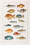 Tessitura Toscana Telerie, “La Mer - Pesci”, Pure linen printed tea towel.