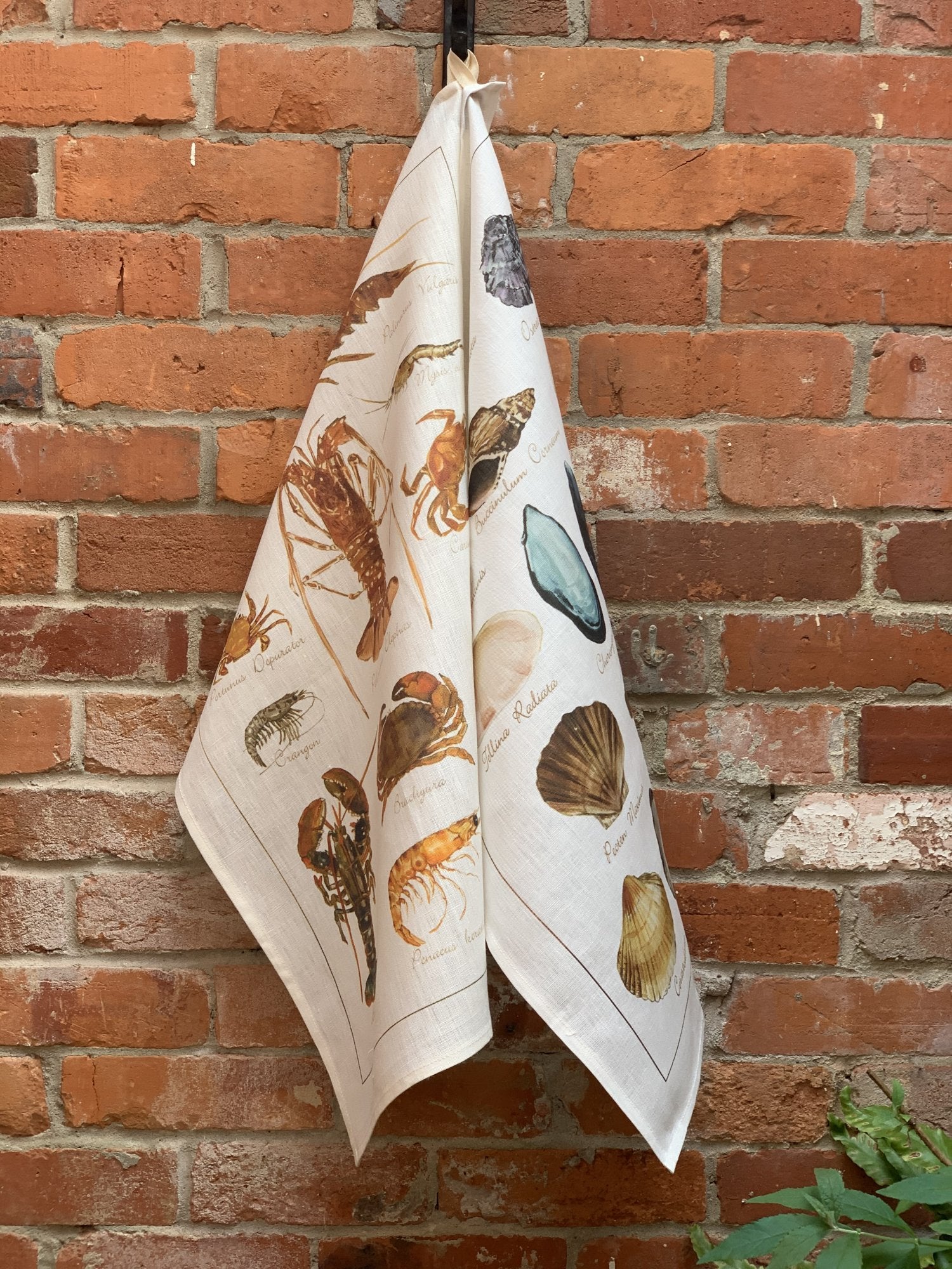 Tessitura Toscana Telerie, “La Mer - Crostacei”, Pure linen printed tea towel. - Home Landing