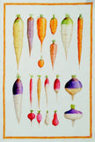 Tessitura Toscana Telerie, “Vegan - Carote”, Pure linen printed tea towel